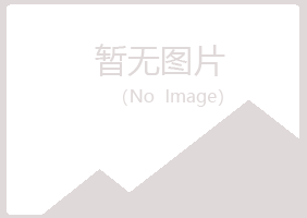 兴山区凌香因特网有限公司